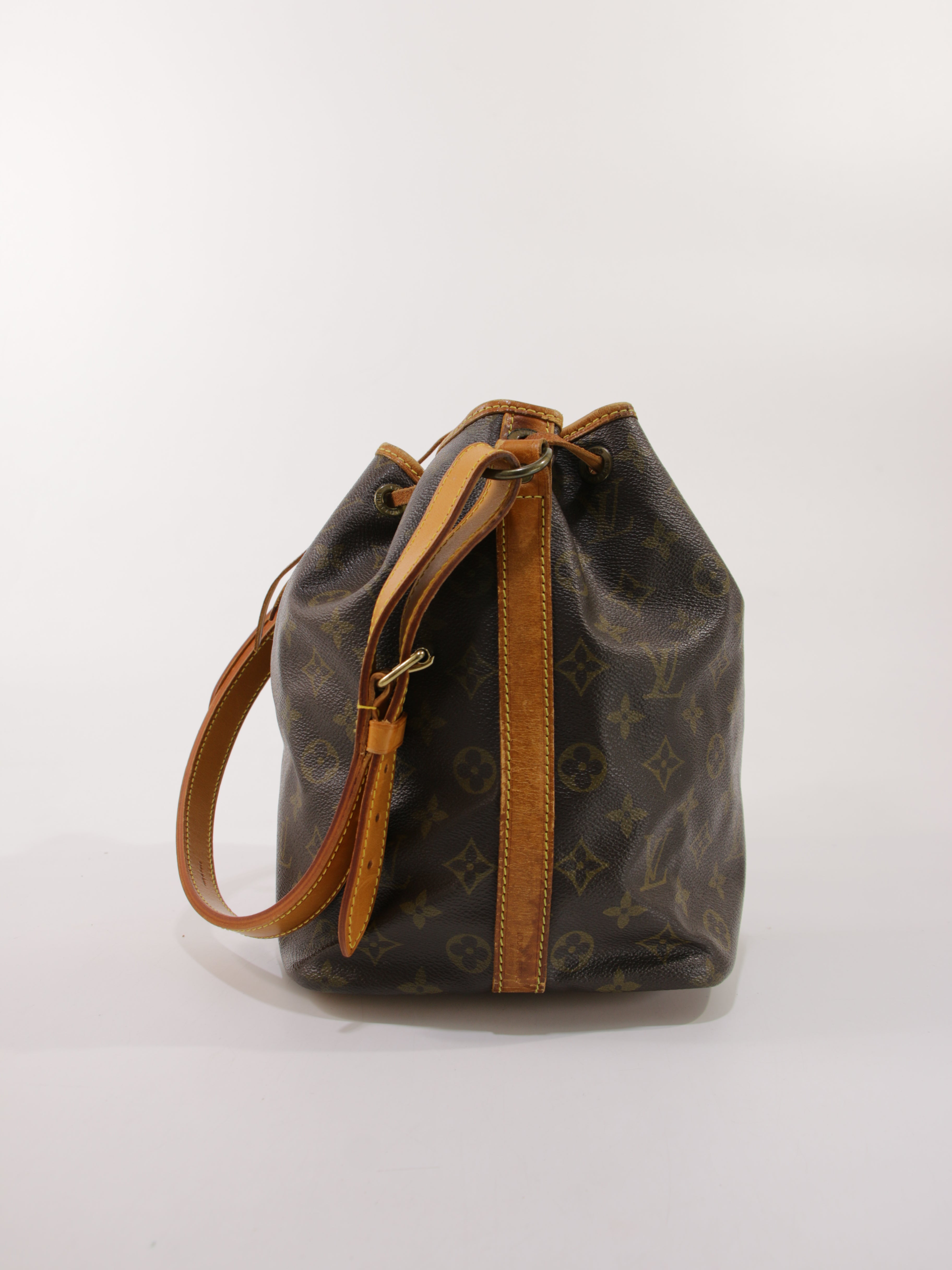 Petit Noé