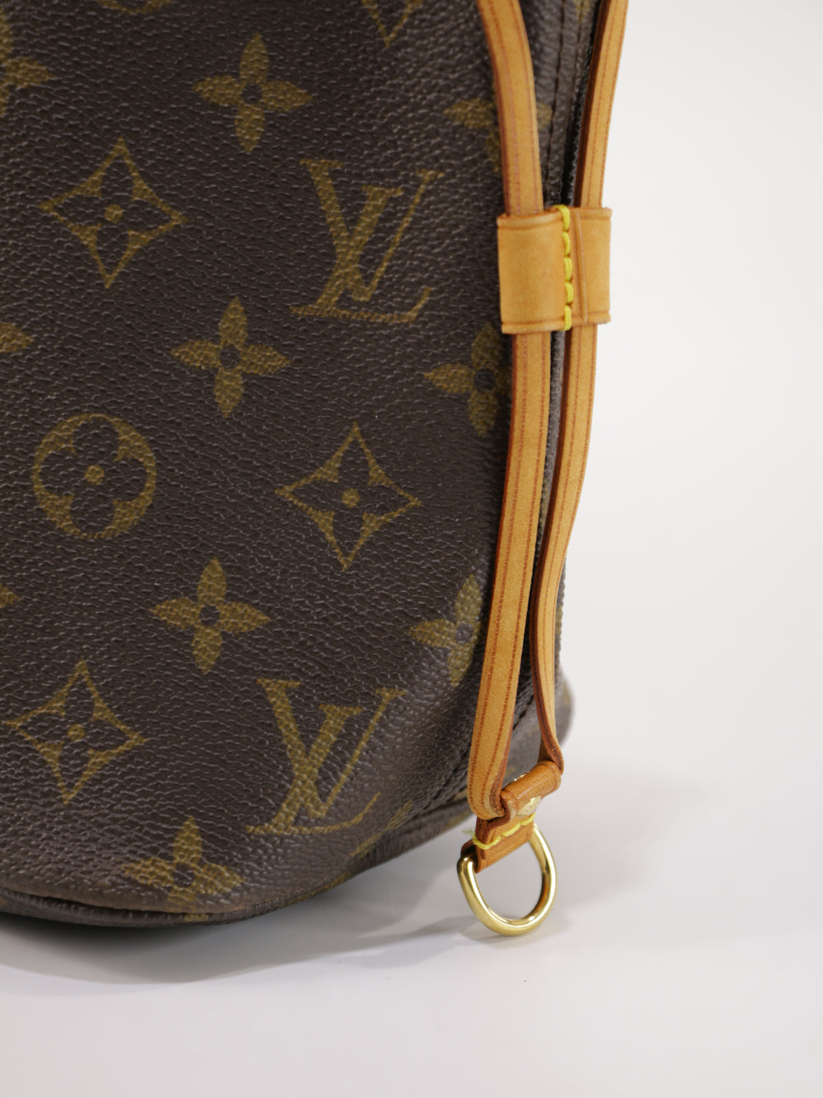 Louis Vuitton Neverfull PM