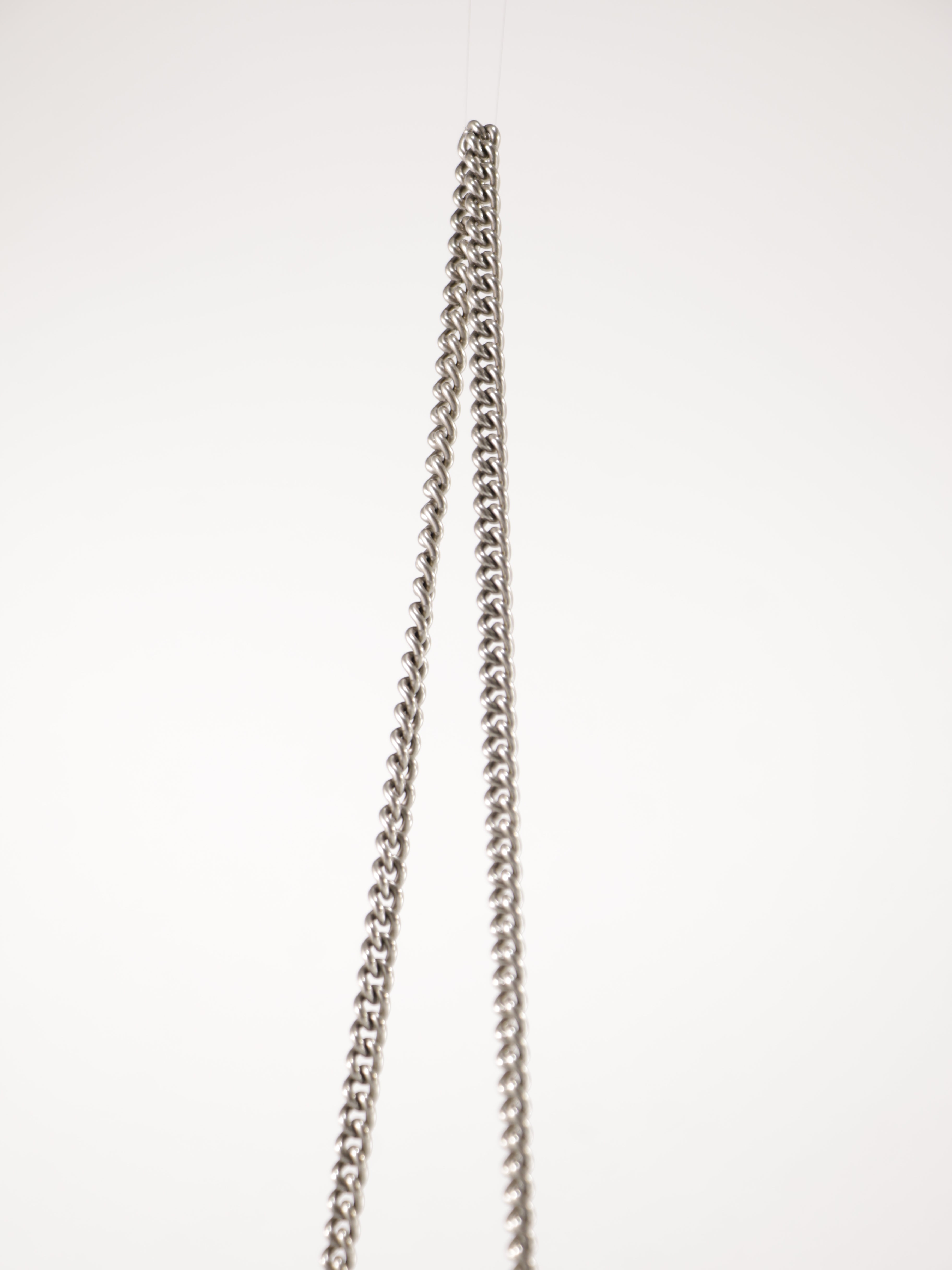 Gucci Dionysus Wallet on Chain