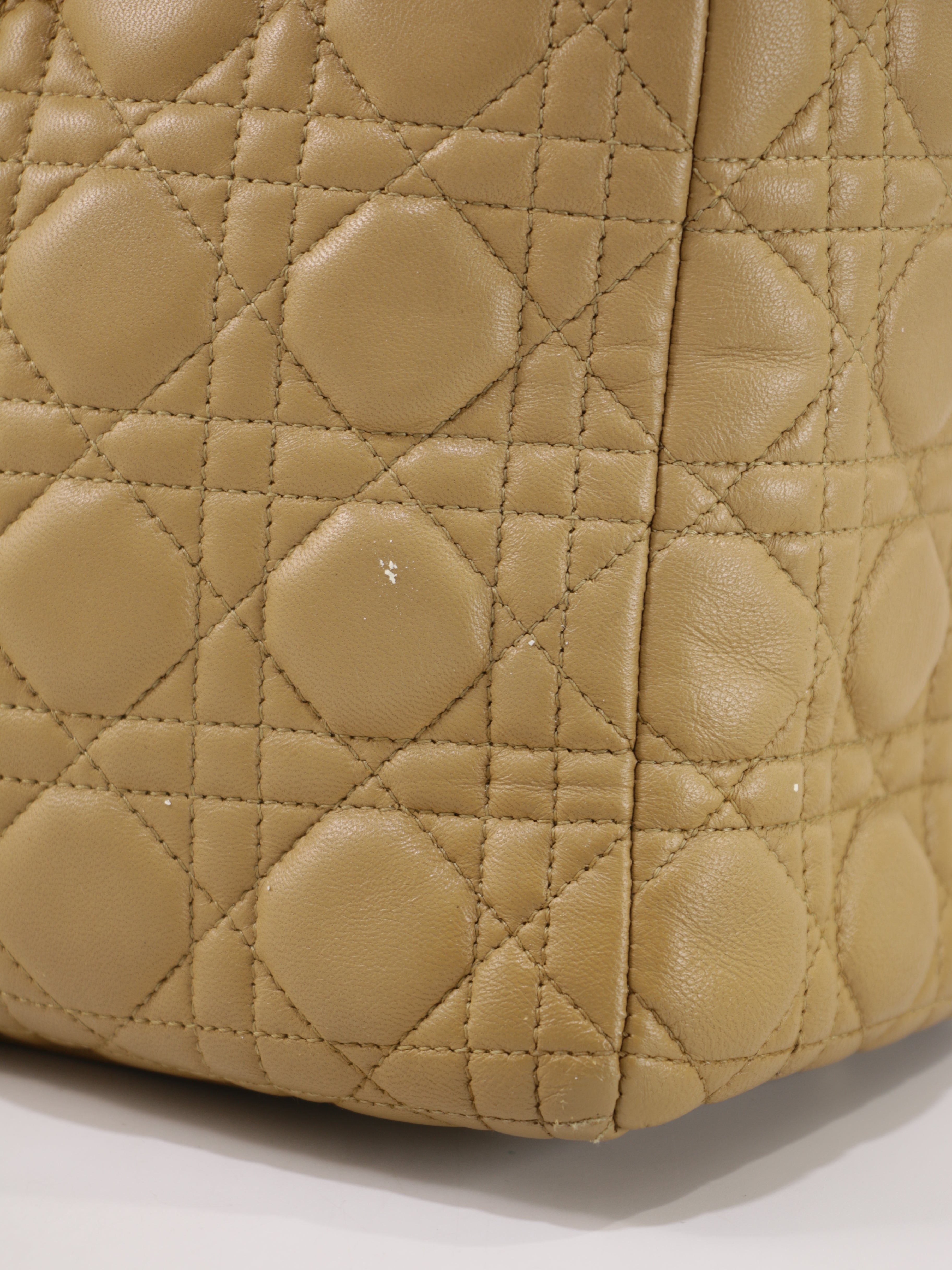 Large Lady Dior