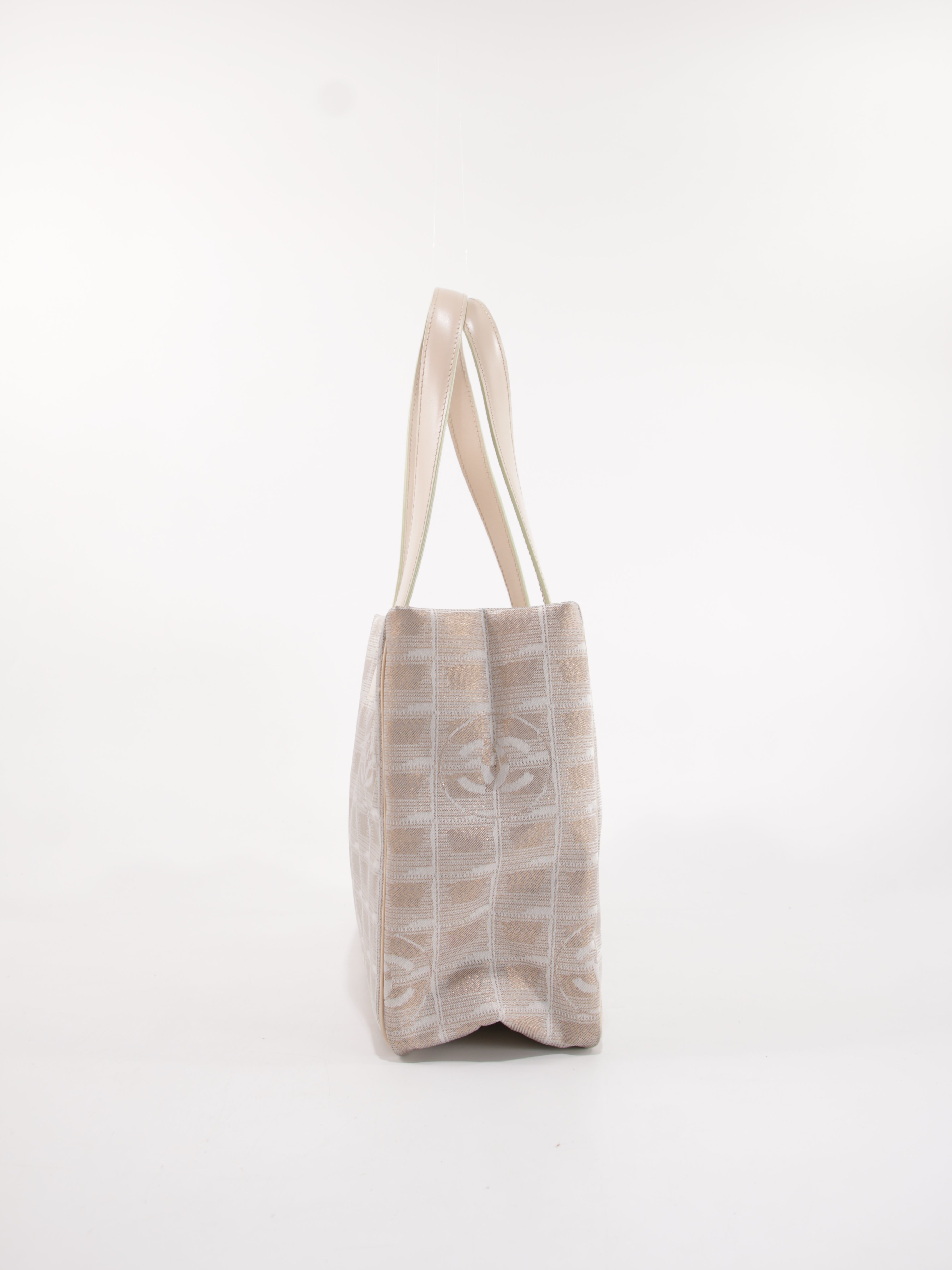 Small New Travel Line Tote