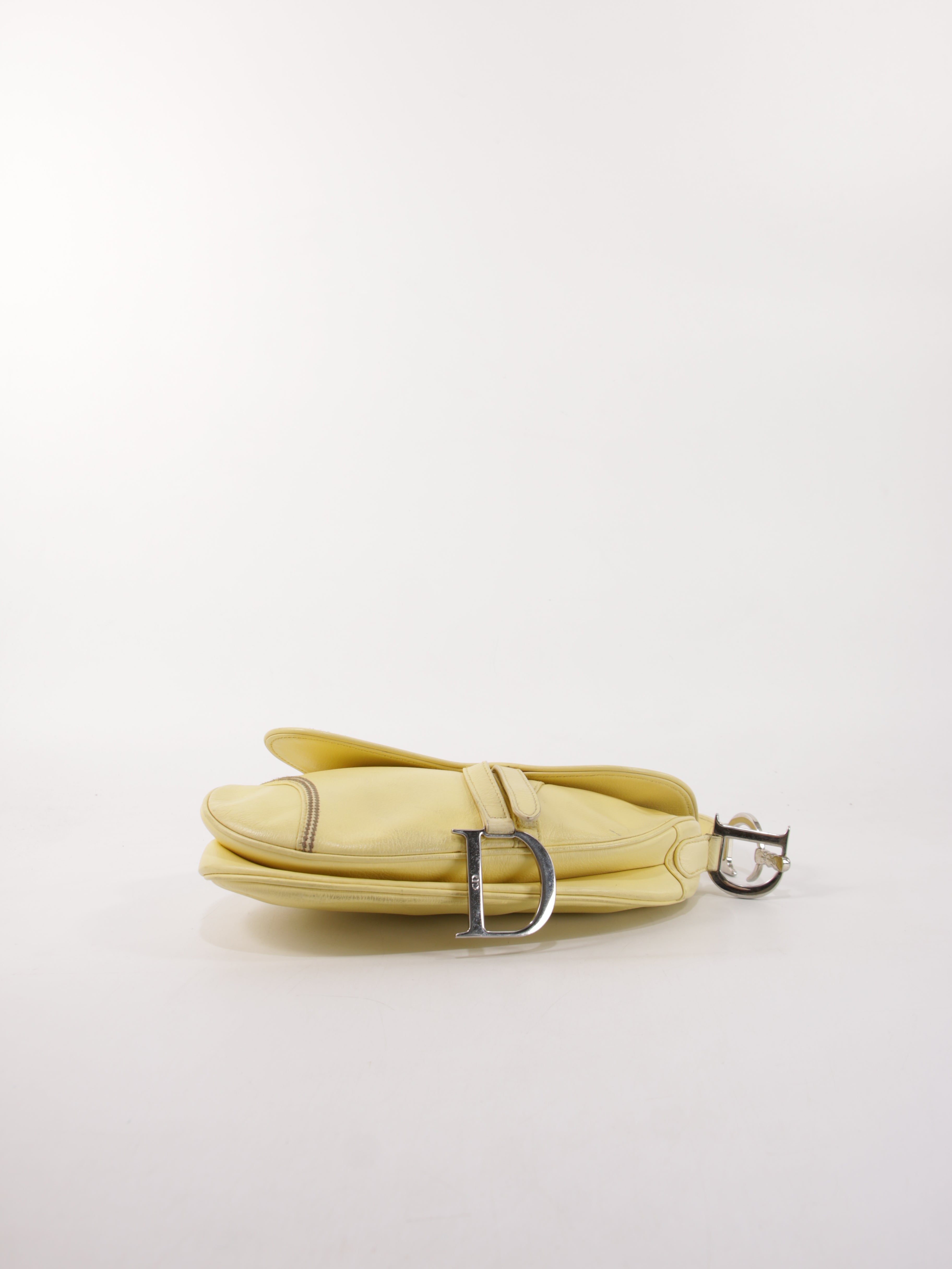 Christian Dior Saddle