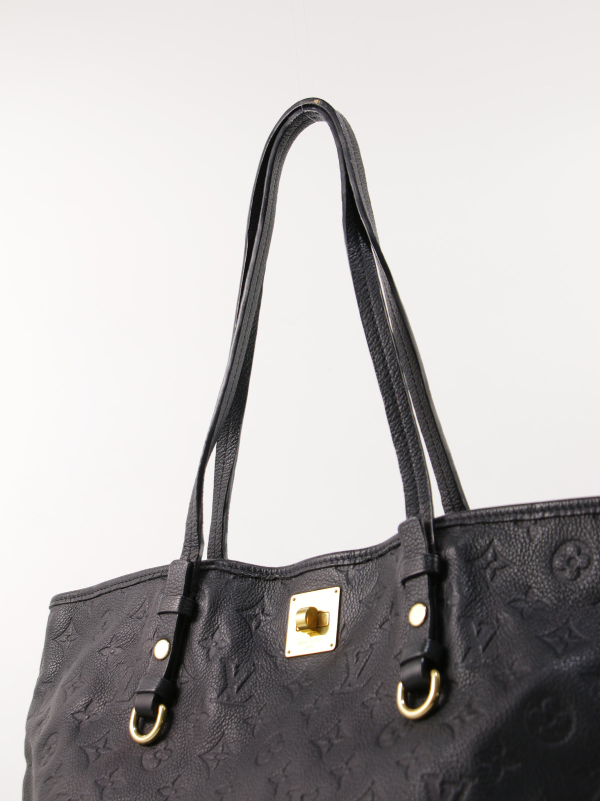 Louis Vuitton Tote Bag