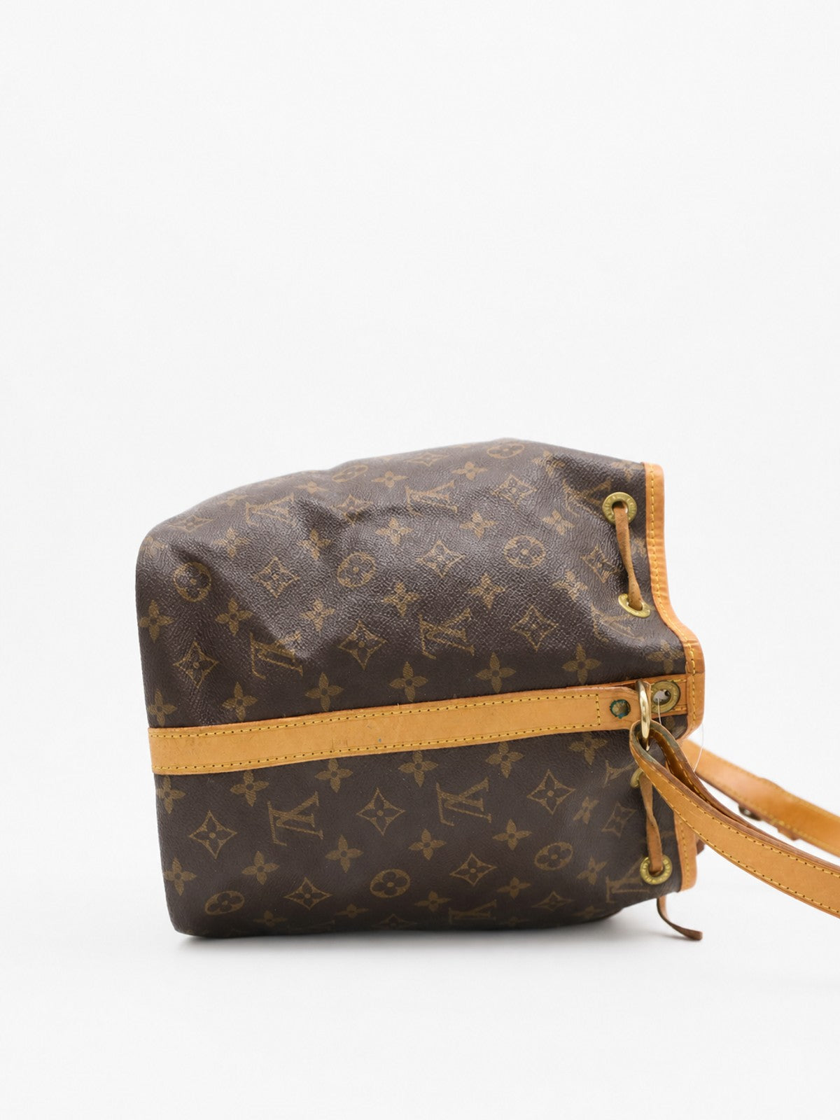 Petit Noé