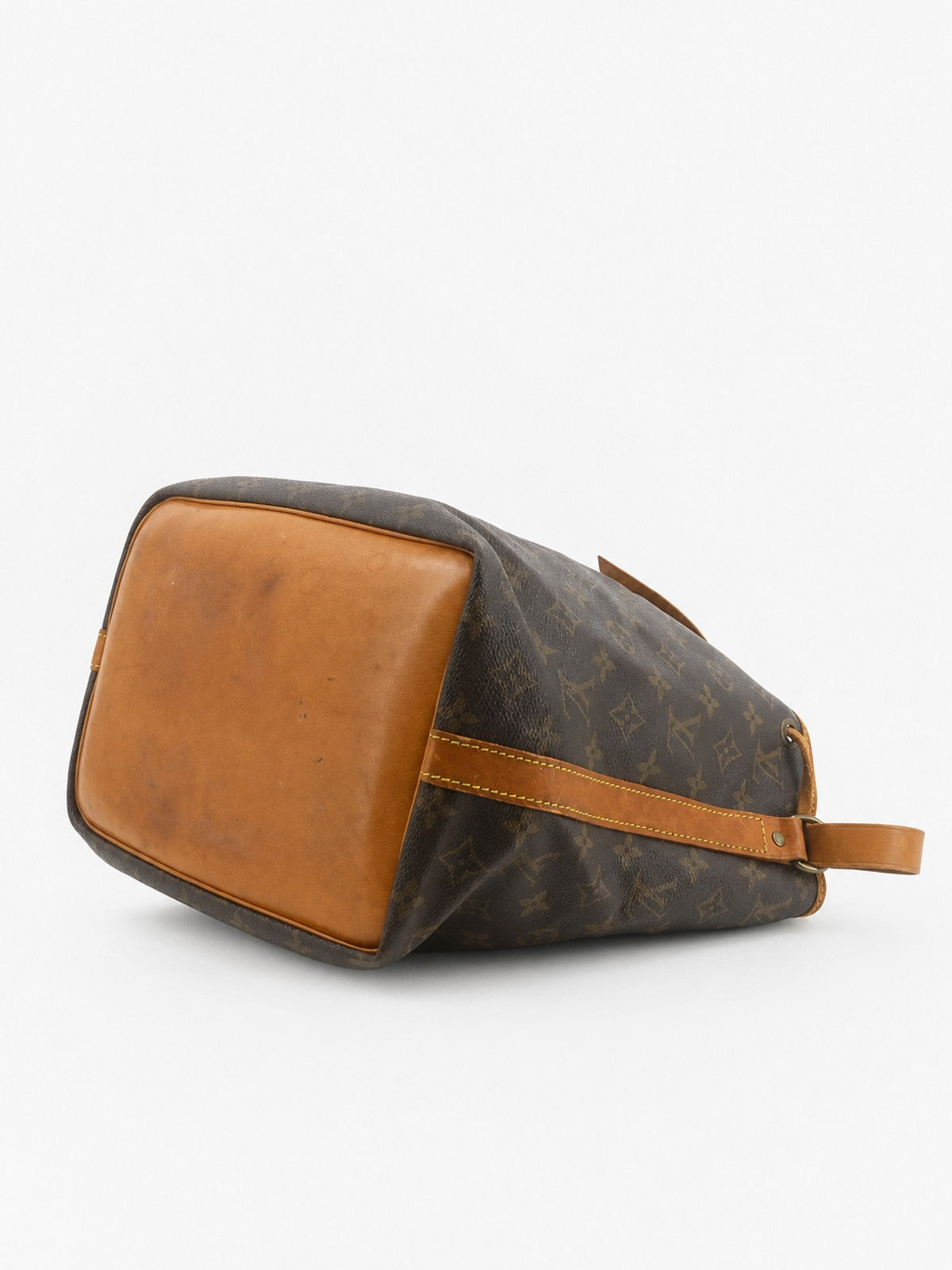 Petit Noé