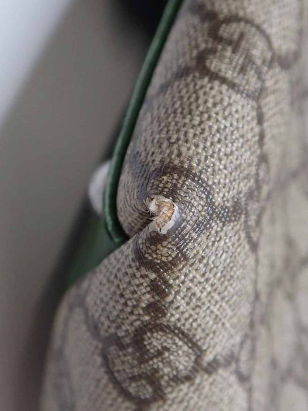 Gucci Tote Bag