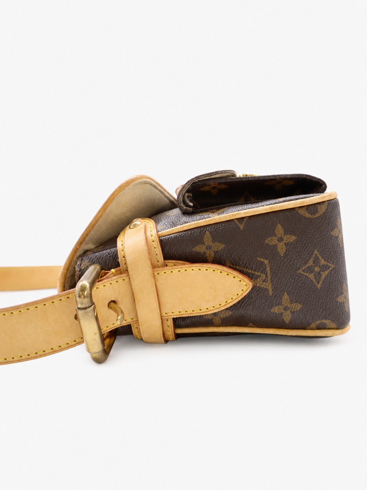 Louis Vuitton Hudson PM